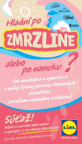 Katalóg Lidl v Žilina | Zmrzlina | 29. 4. 2022 - 31. 8. 2022
