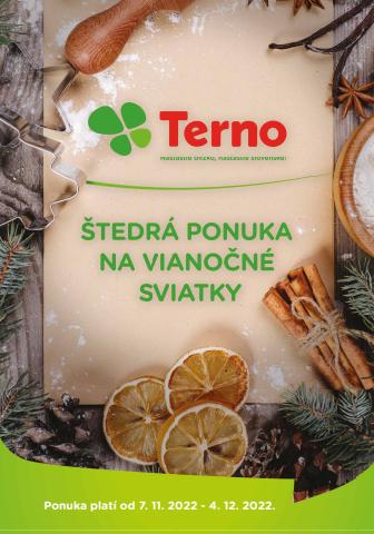 Katalóg TERNO v Trnava | Brand leták | 9. 11. 2022 - 4. 12. 2022