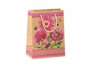 Argus taška darčeková celor. Natur T2 (130x180x80mm), kvety v akcii za 0,49€ v Faxcopy
