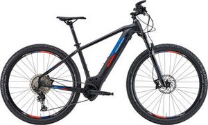 GENESIS · E-Pro MTB 2.2 PT, horský 29" elektrobicykel v akcii za 2999€ v Intersport
